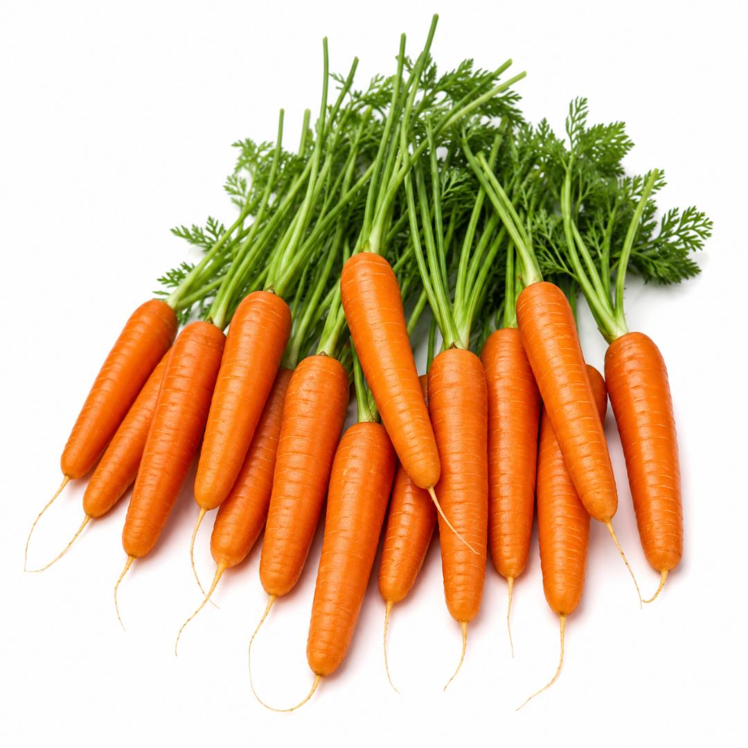 CARROT Nantes 300 seeds