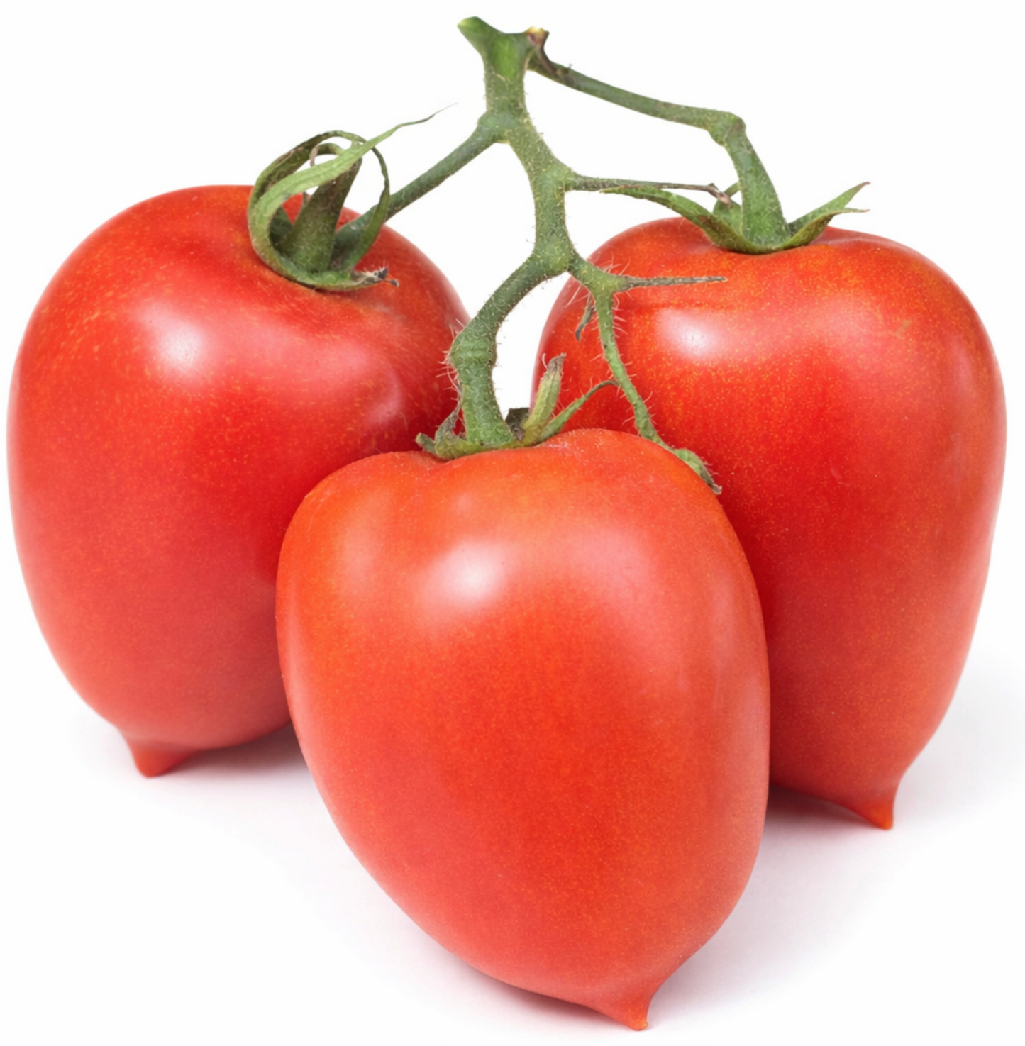 Tomato Amish Paste 25 Seeds