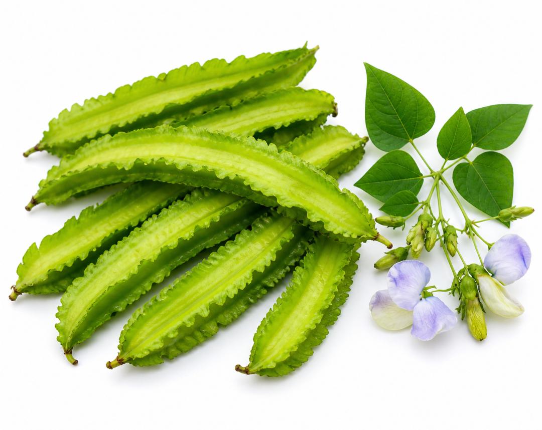 Winged Bean 15 Seed Climbing AKA Goa, Manila,or 4 Angled bean hot humid areas