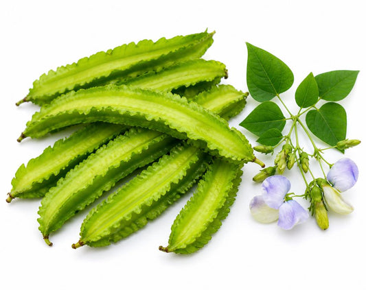 Winged Bean 15 Seed Climbing AKA Goa, Manila,or 4 Angled bean hot humid areas