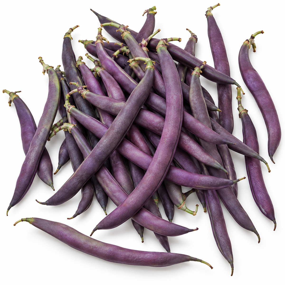 Bean Climbing 20 seeds Purple King seeds HEIRLOOM vegetable garden