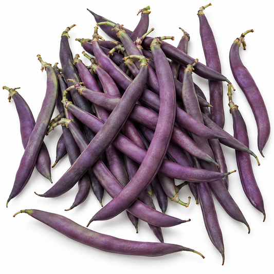 Bean Climbing 20 seeds Purple King seeds HEIRLOOM vegetable garden