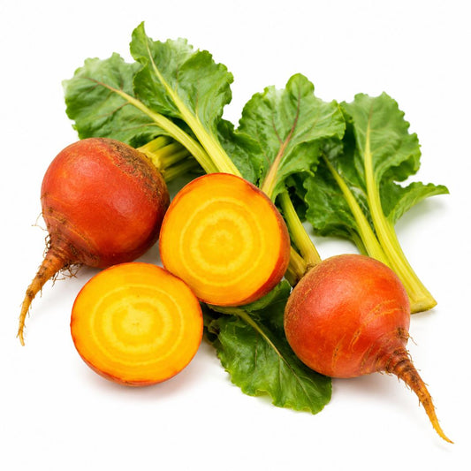 BEETROOT  Golden 30 Vegetable Seeds delicious and easy to grow