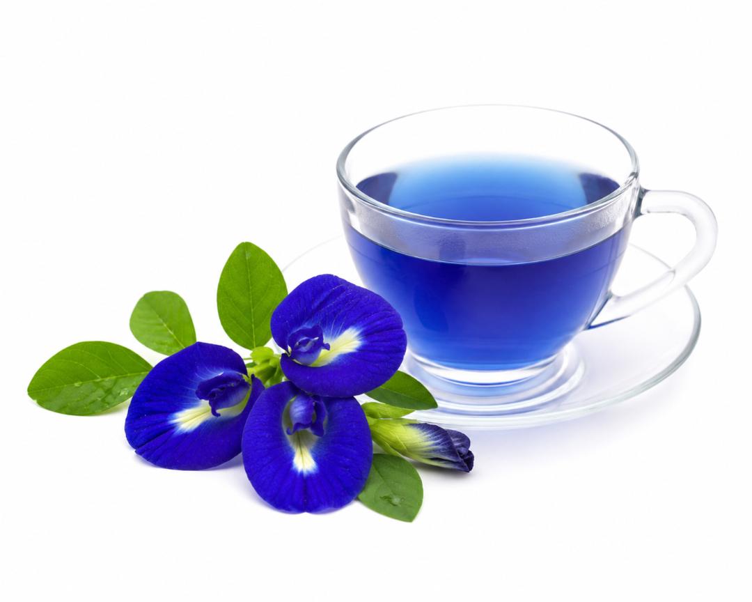BLUE BUTTERFLY PEA 30 Seeds