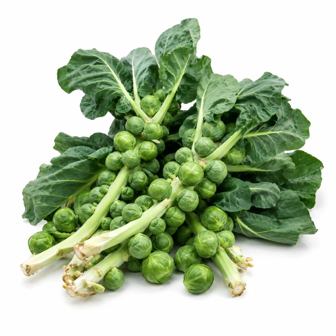 BRUSSELS SPROUTS LONG ISLAND   Heirloom  vegetable Seed *200 SEEDS*