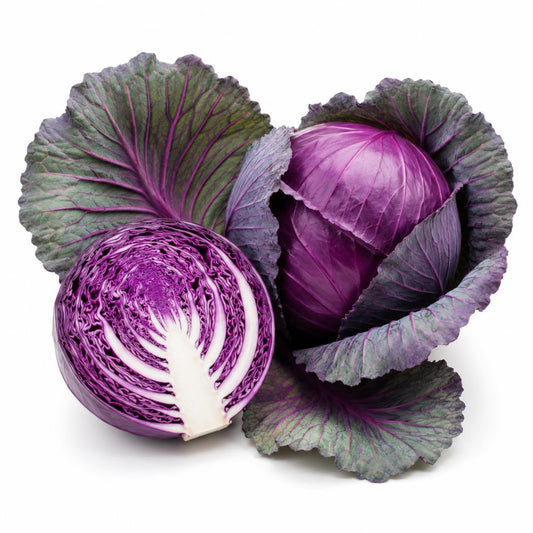 CABBAGE RED ACRE  100 seeds