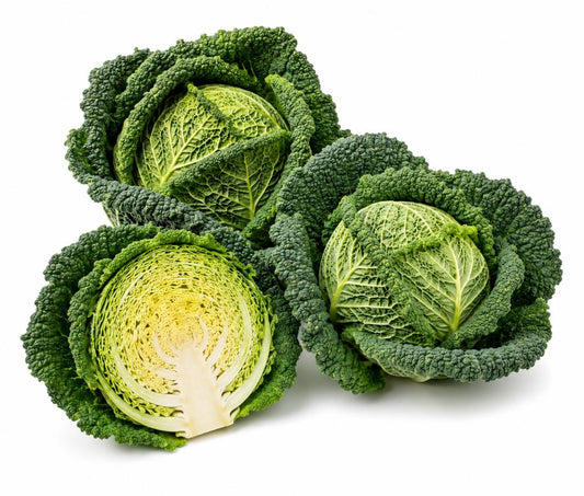 CABBAGE SAVOY GREEN VERTUS 100