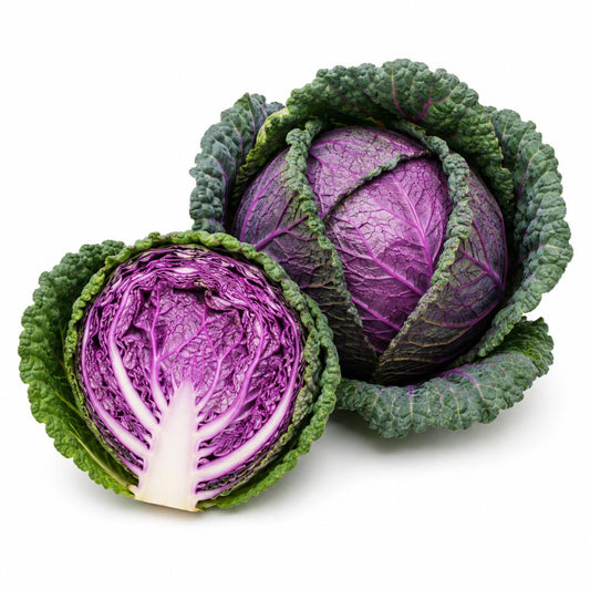 Cabbage Savoy Verona Purple 100 Seeds