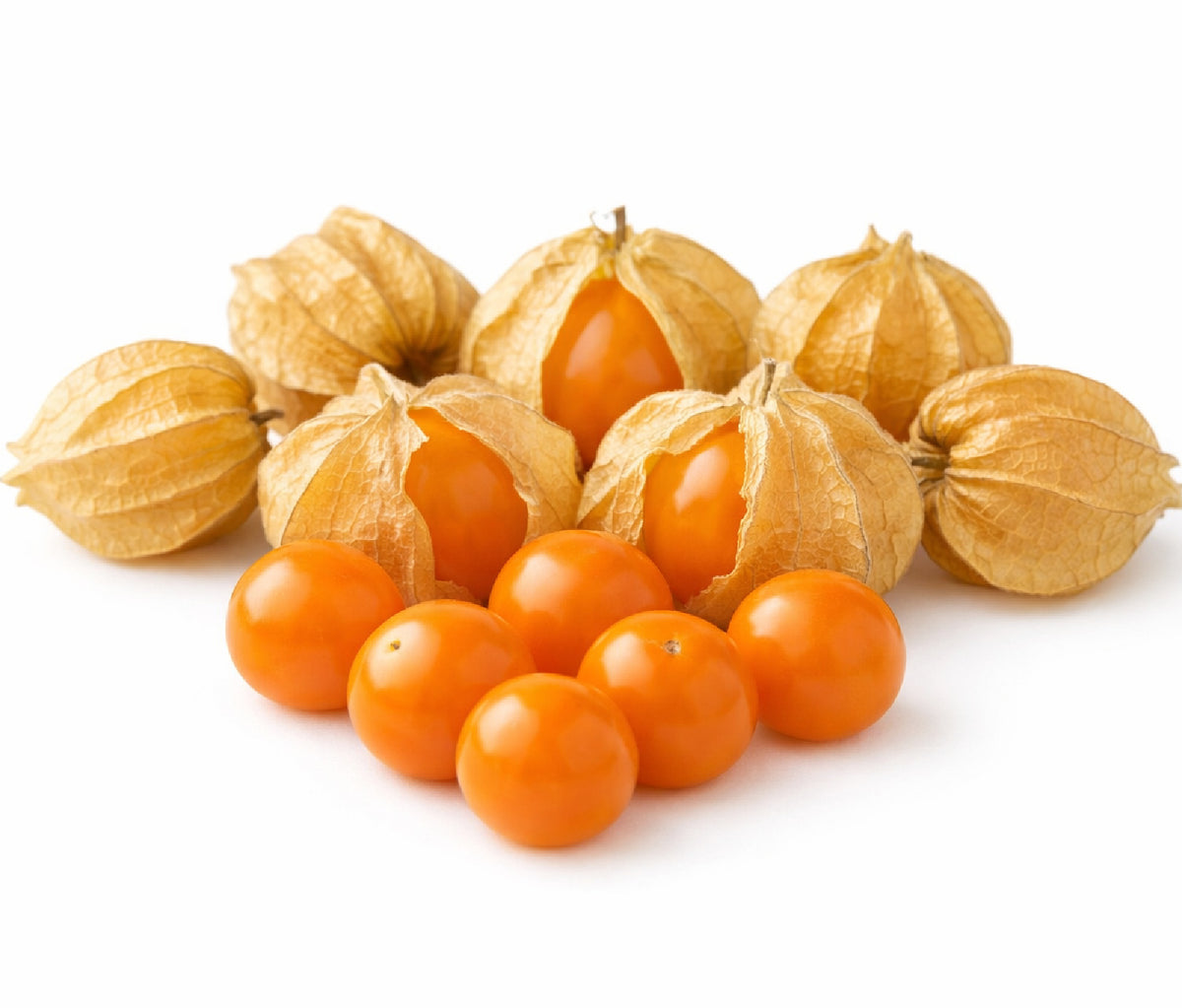 CAPE GOOSEBERRY DWARF 50 SEEDS