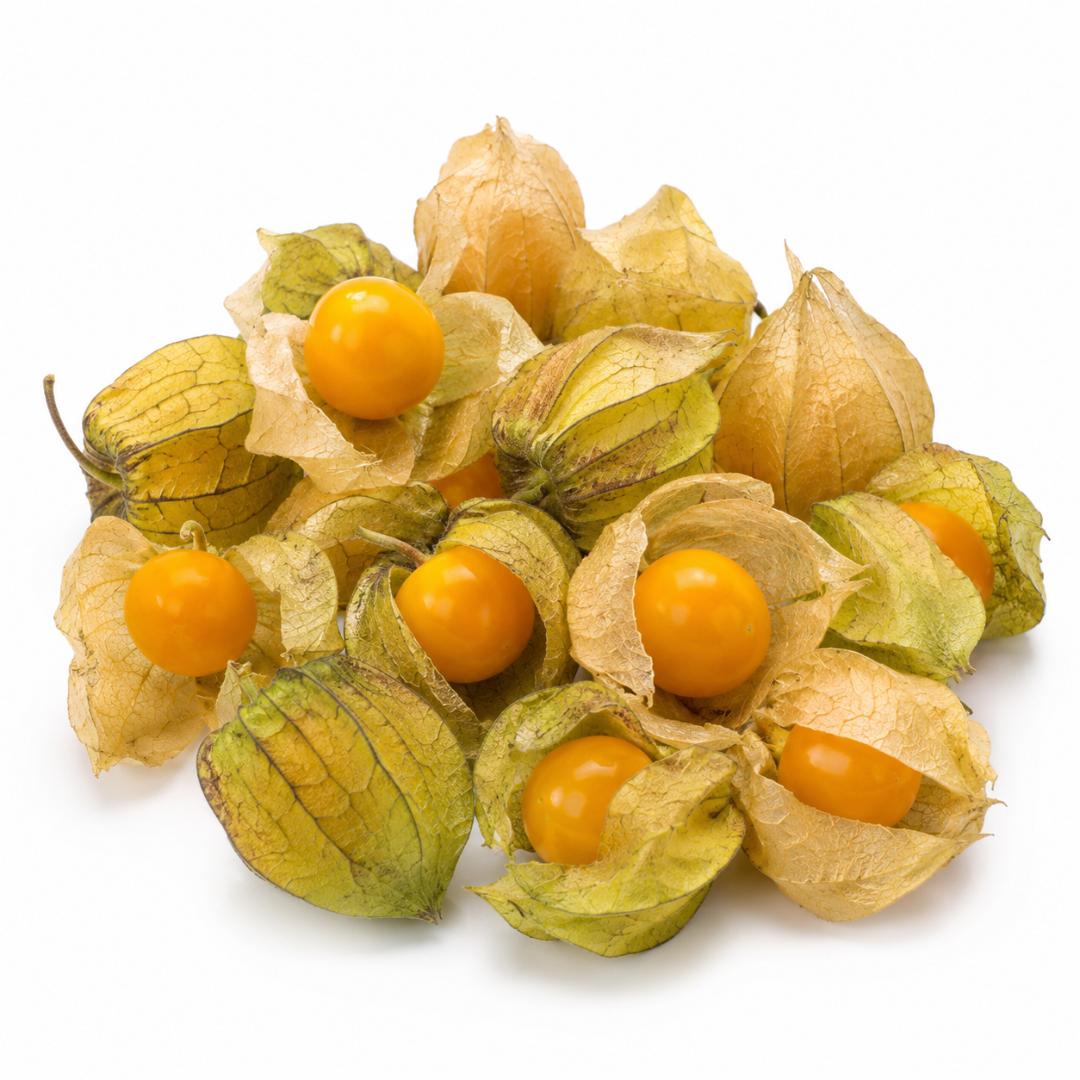 Cape Gooseberry Golden Nugget 50 Seeds HEIRLOOM Seeds Garden Fruit EASY GROW