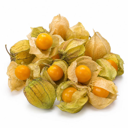 Cape Gooseberry Golden Nugget 50 Seeds HEIRLOOM Seeds Garden Fruit EASY GROW