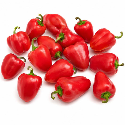 CAPSICUM MINI BELL RED – 20 Fresh Seeds