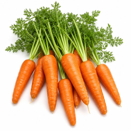 Carrot ‘Red Core Chantenay’ 250 Seeds