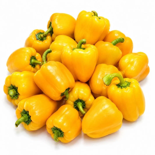 Capsicum Mini Bell Yellow 20 Fresh Seeds