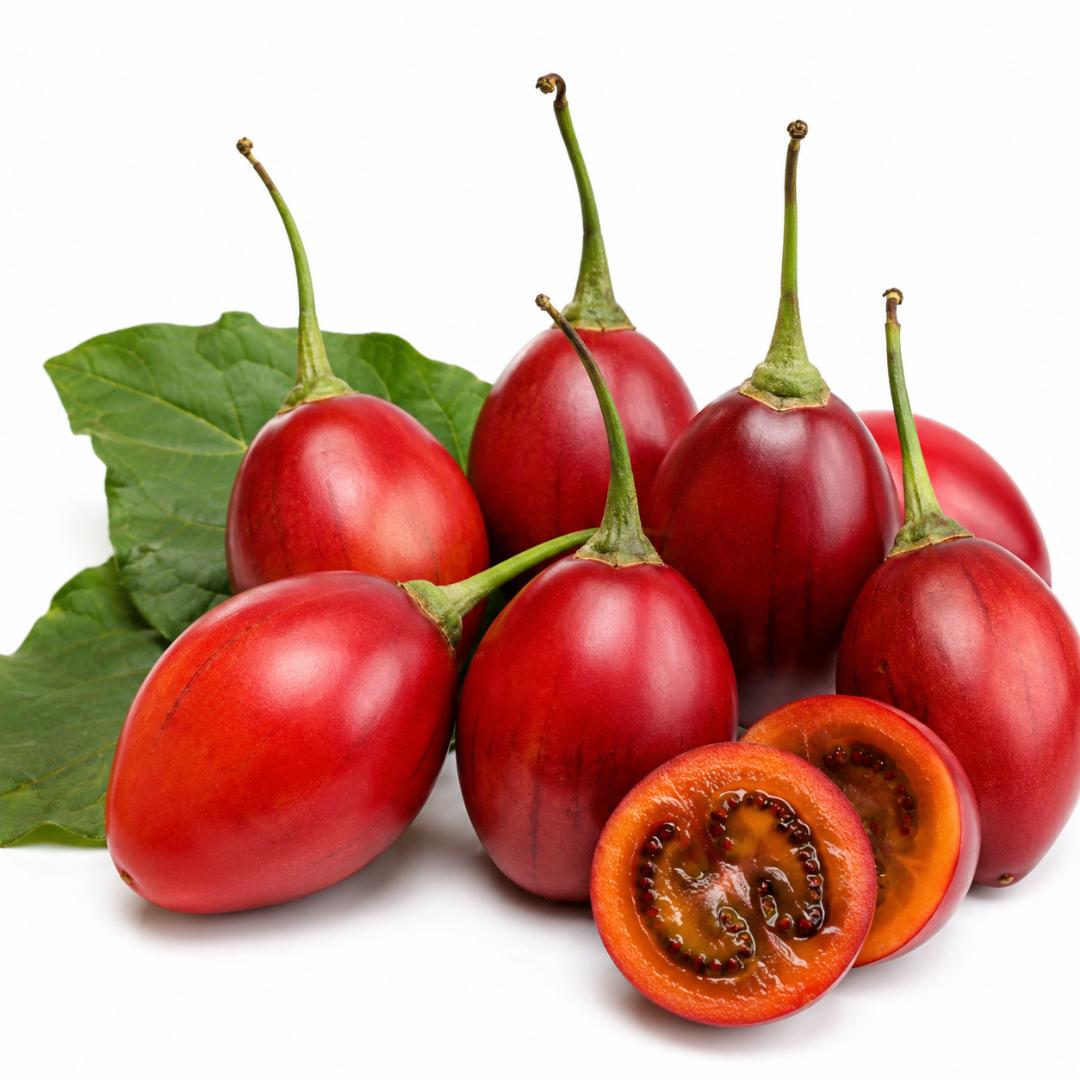 TAMARILLO 10 SEEDS